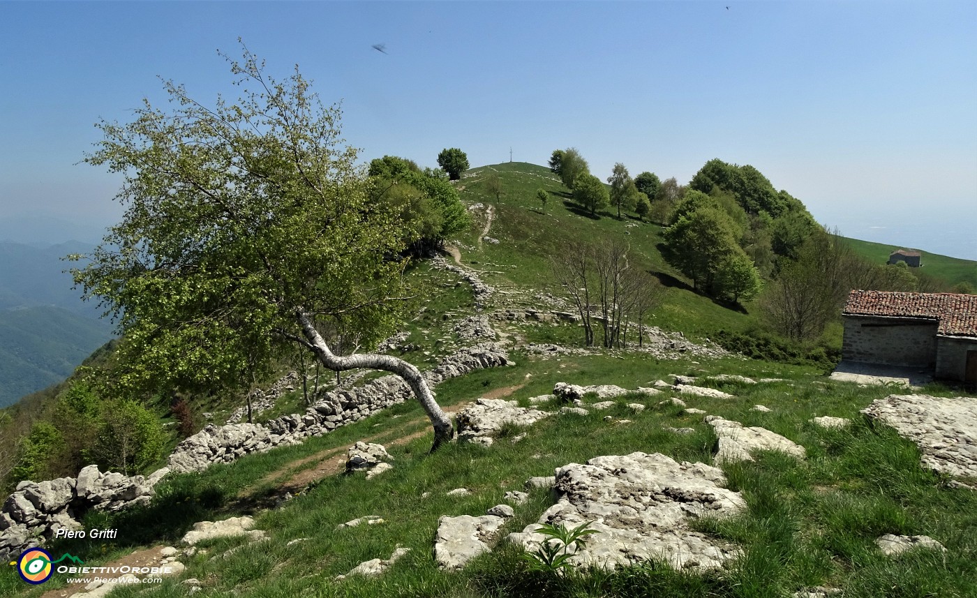 54 Rientro alla cima del Linzone.JPG